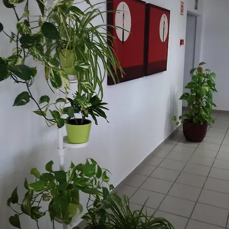 Ciw Hostel